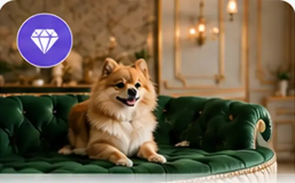 Butik Pet Otel