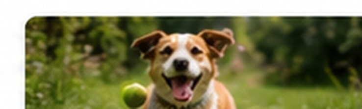 Bahçede oyun oynayan mutlu köpek
