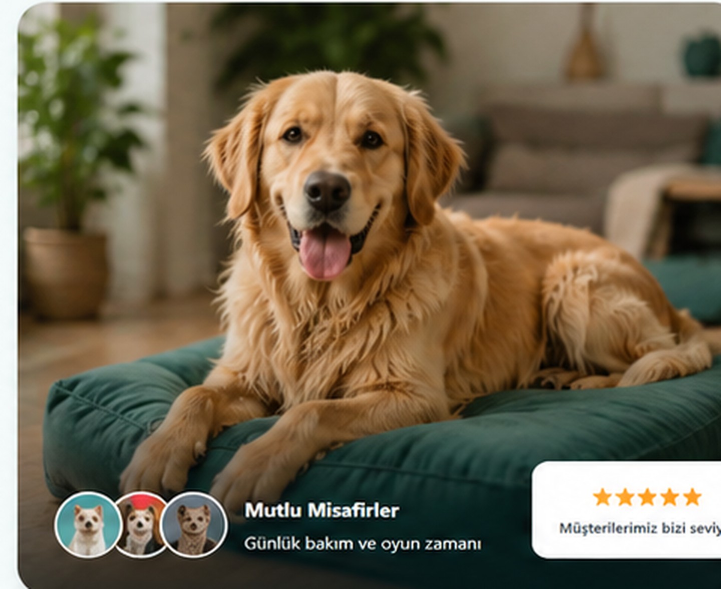 Doğada özgürce koşan mutlu köpek